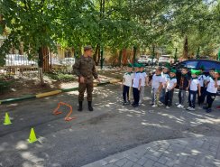 img (2)